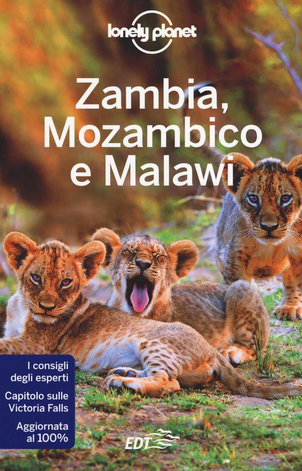 Libro Zambia