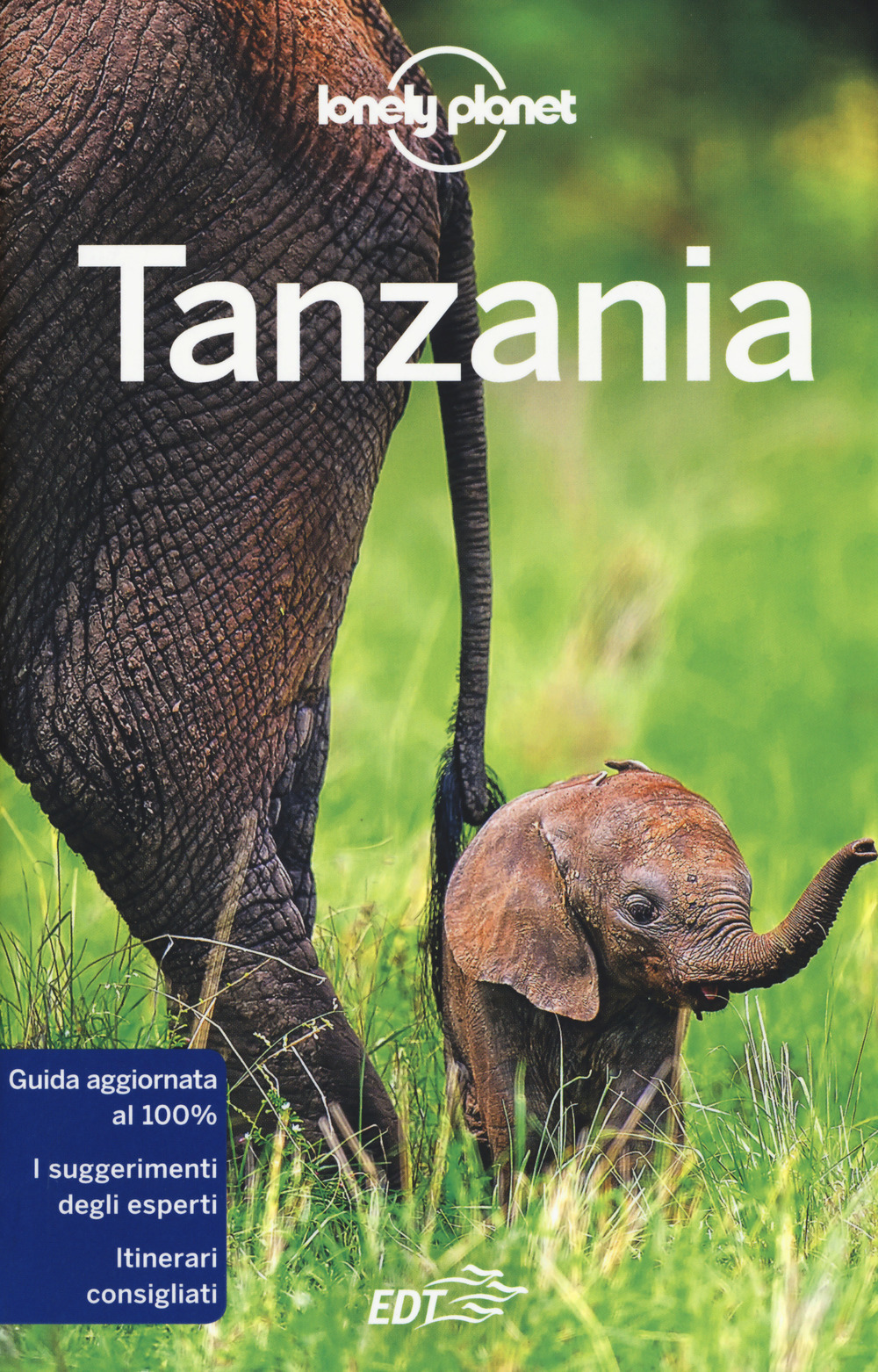 Libro Tanzania di Mary Fitzpatrick; Ray Bartlett; David Else; Anthony Ham; Helena Smith - ean 9788859246114 - Lonely Planet Italia
