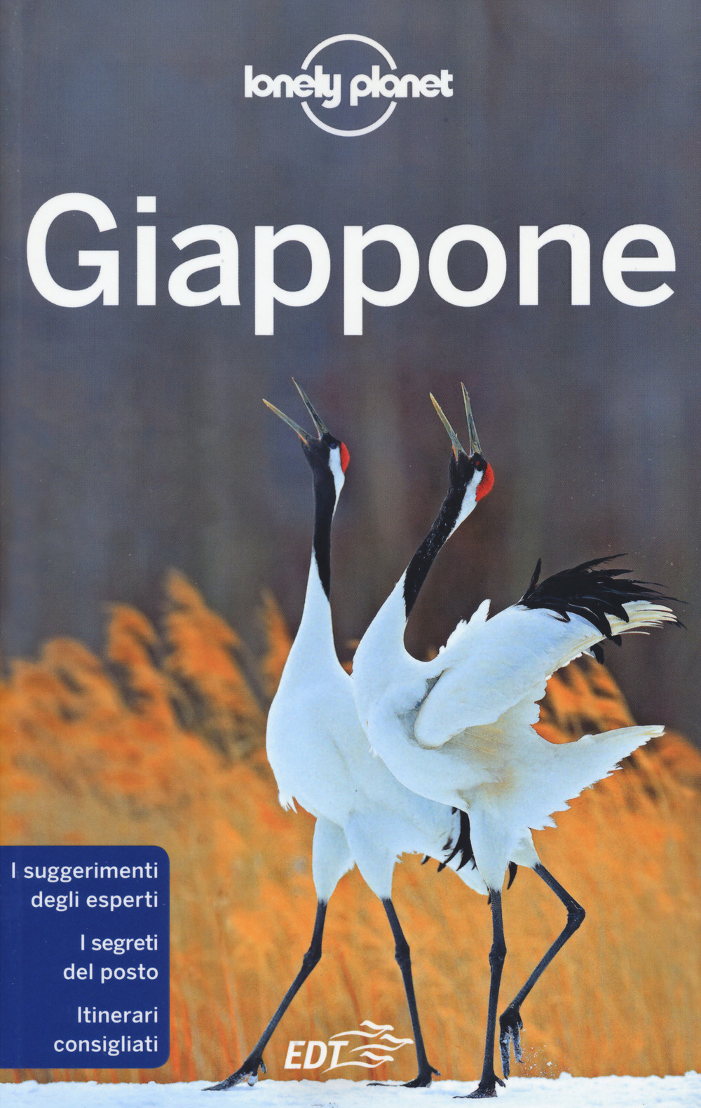 Libro Giappone di  - ean 9788859265153 - Lonely Planet Italia