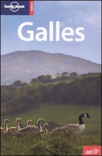 Libro Galles di David Atkinson; Neil Wilson - ean 9788860401502 - Lonely Planet Italia