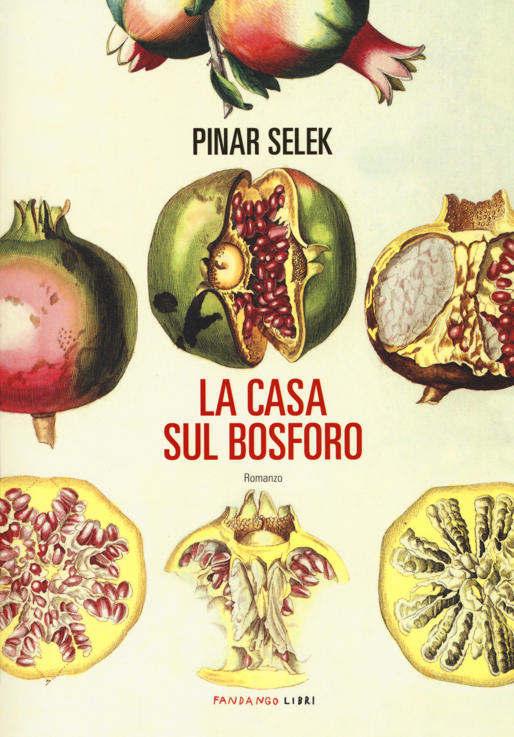 Libro casa sul Bosforo di Pinar Selek - ean 9788860445247 - Fandango Libri