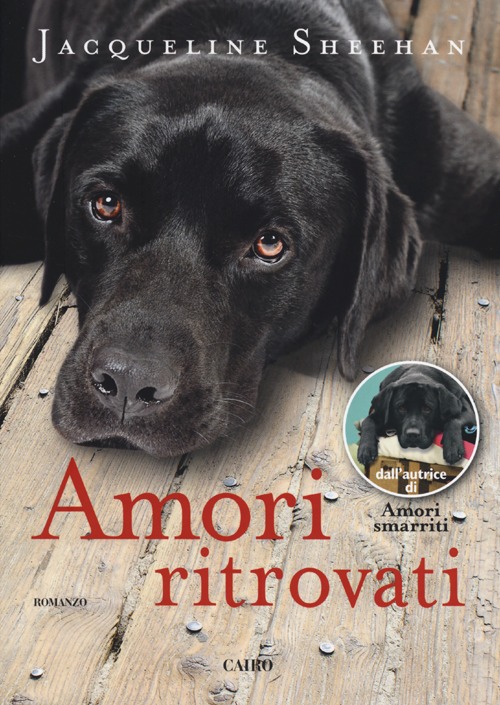 Libro Amori ritrovati di Jacqueline Sheehan - ean 9788860525222 - Cairo Publishing