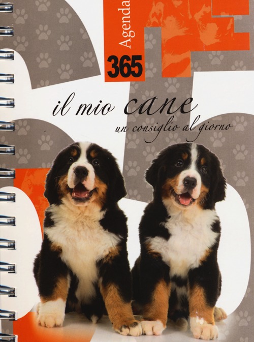 Libro 365. Il mio cane. Un consiglio al giorno. Agenda 2014 di  - ean 9788861071704 - LT Editore