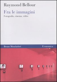 Libro Fra le immagini. Fotografia