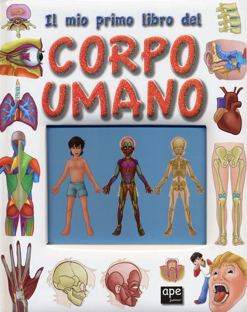 Libro mio primo libro del corpo umano di  - ean 9788861886155 - Ape Junior