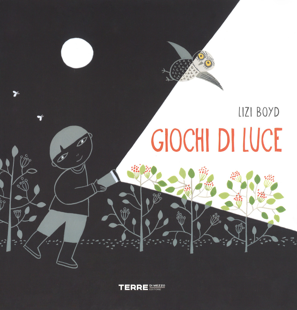 Libro Giochi di luce di Lizi Boyd - ean 9788861894280 - Terre di Mezzo