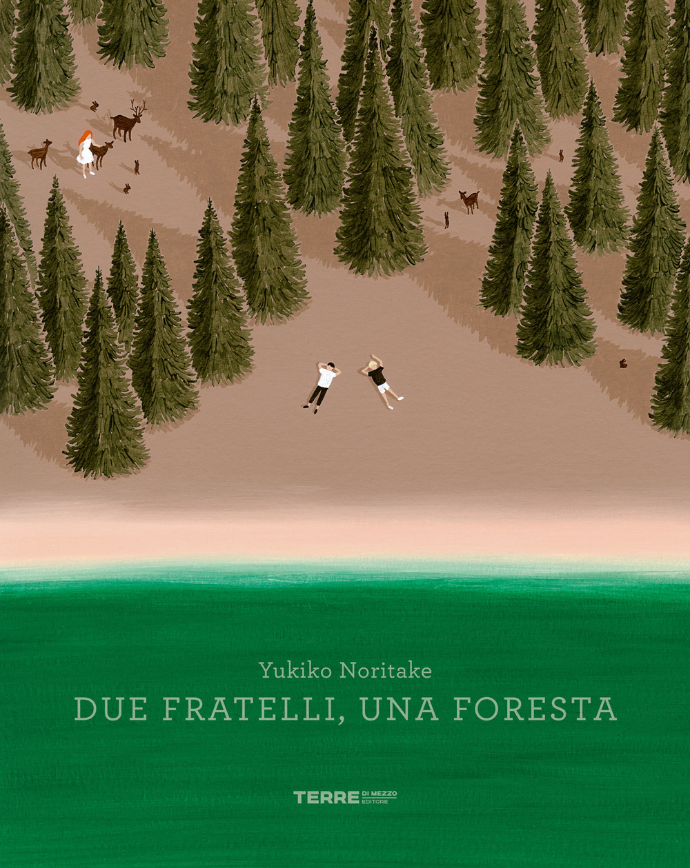 Libro Due fratelli