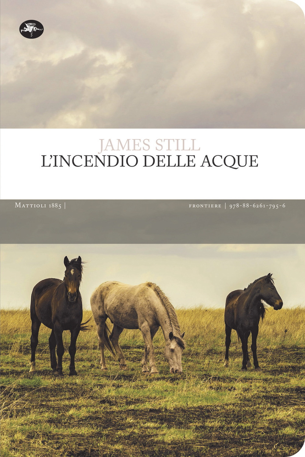 Libro incendio delle acque di James Still - ean 9788862617956 - Mattioli 1885