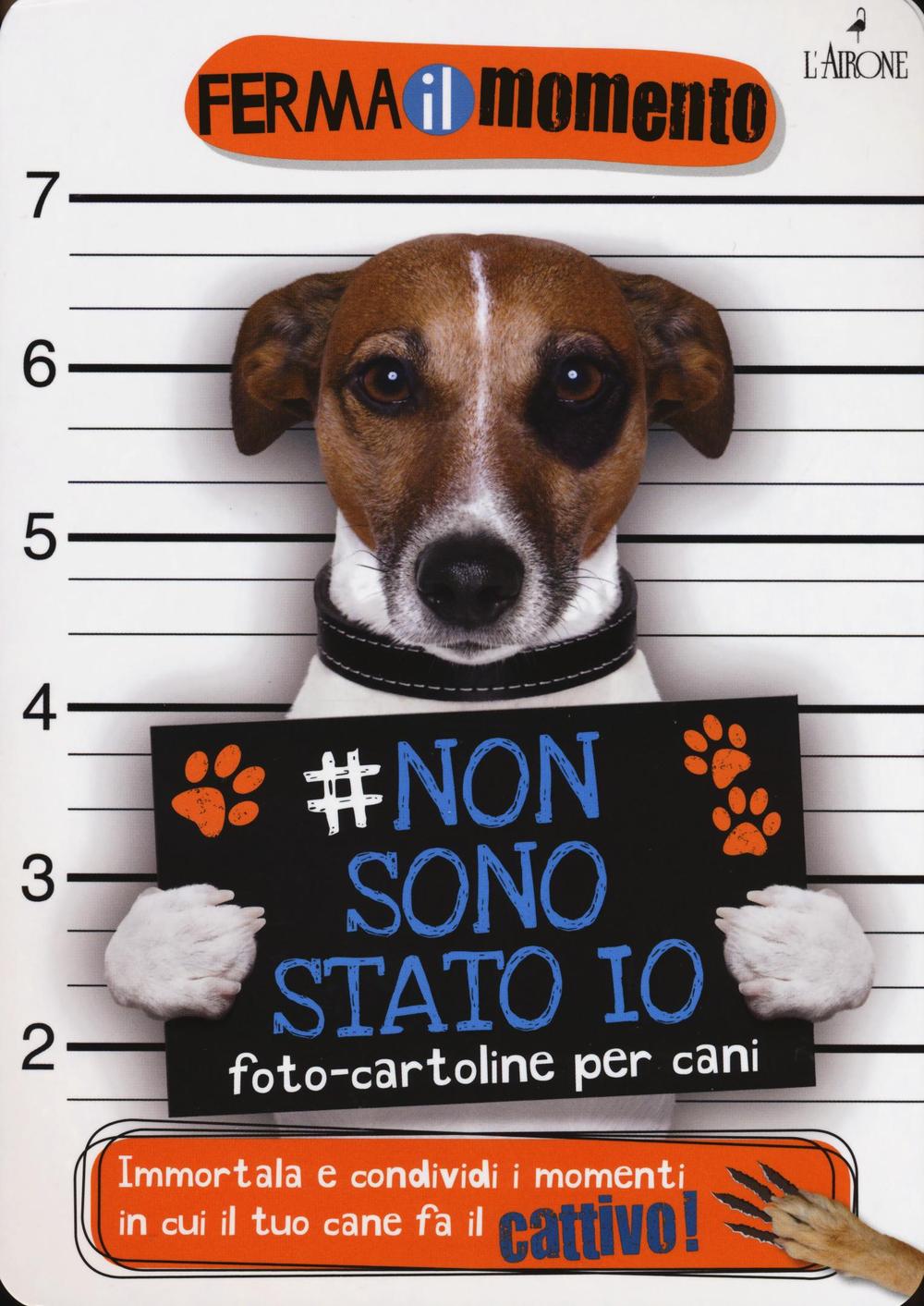 Libro Non sono stato io. Foto-cartoline per cani di  - ean 9788864422848 - L'Airone Editrice Roma