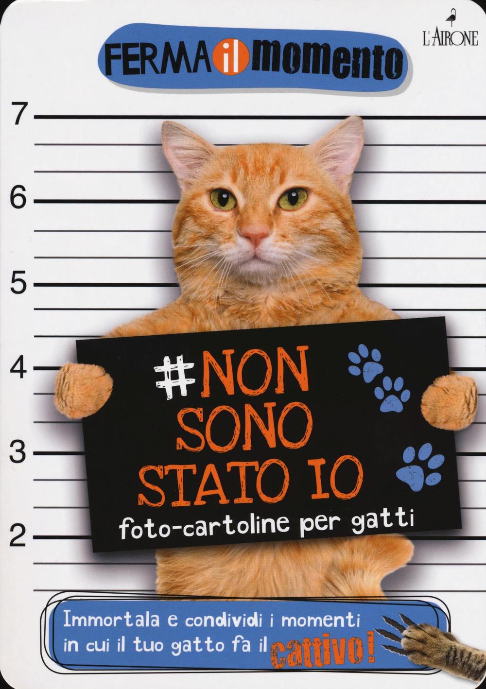 Libro Non sono stato io. Foto-cartoline per gatti di  - ean 9788864422855 - L'Airone Editrice Roma