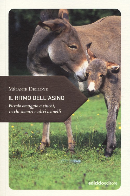 Libro ritmo dell'asino. Piccolo omaggio a ciuchi