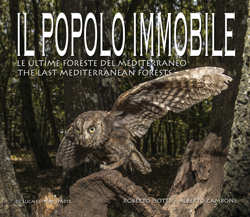 Libro popolo immobile. Le ultime foreste del Mediterraneo. Ediz. italiana e inglese di Roberto Isotti; Alberto Cambone - ean 9788865574270 - De Luca Editori d'Arte