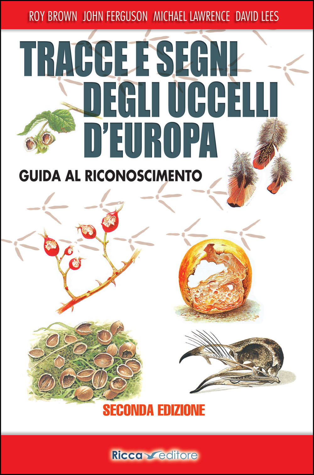 Libro Tracce e segni degli uccelli d'Europa. Guida al riconoscimento di Roy Brown; John Ferguson; Michael Lawrence; David Lees - ean 9788866940562 - Ricca