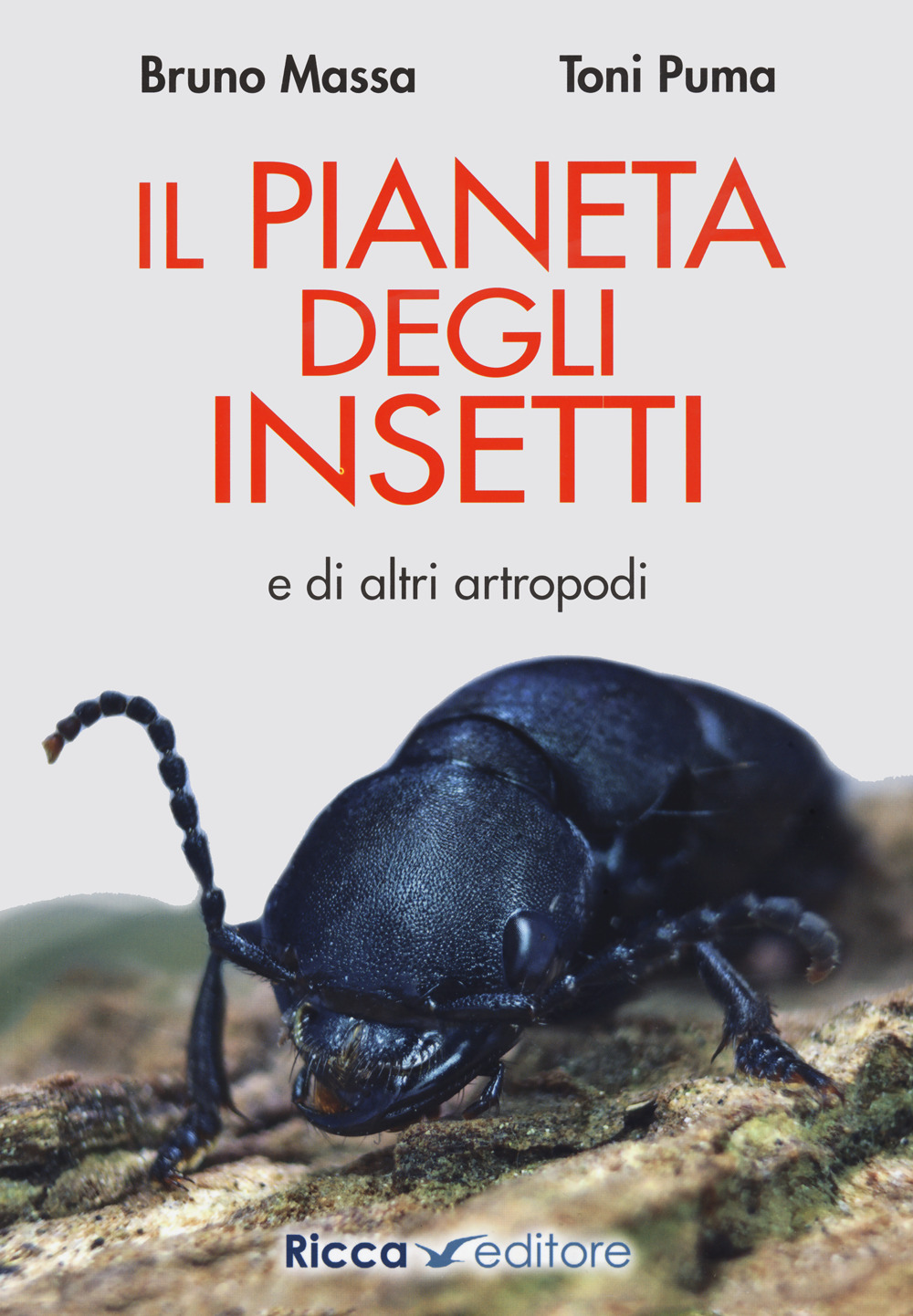 Libro pianeta degli insetti e di altri artropodi di Bruno Massa; Toni Puma - ean 9788866940715 - Ricca
