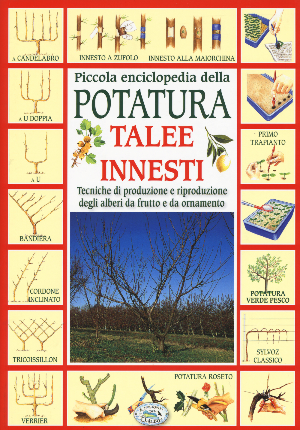 Libro Piccola enciclopedia della potatura