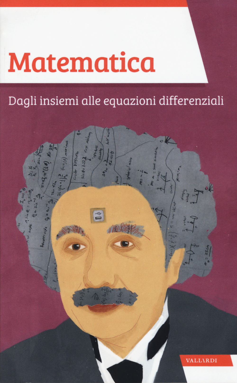 Libro Matematica. Dagli insiemi alle equazioni differenziali di Massimo Scorletti; Mario Italo Trioni - ean 9788867317882 - Vallardi A.