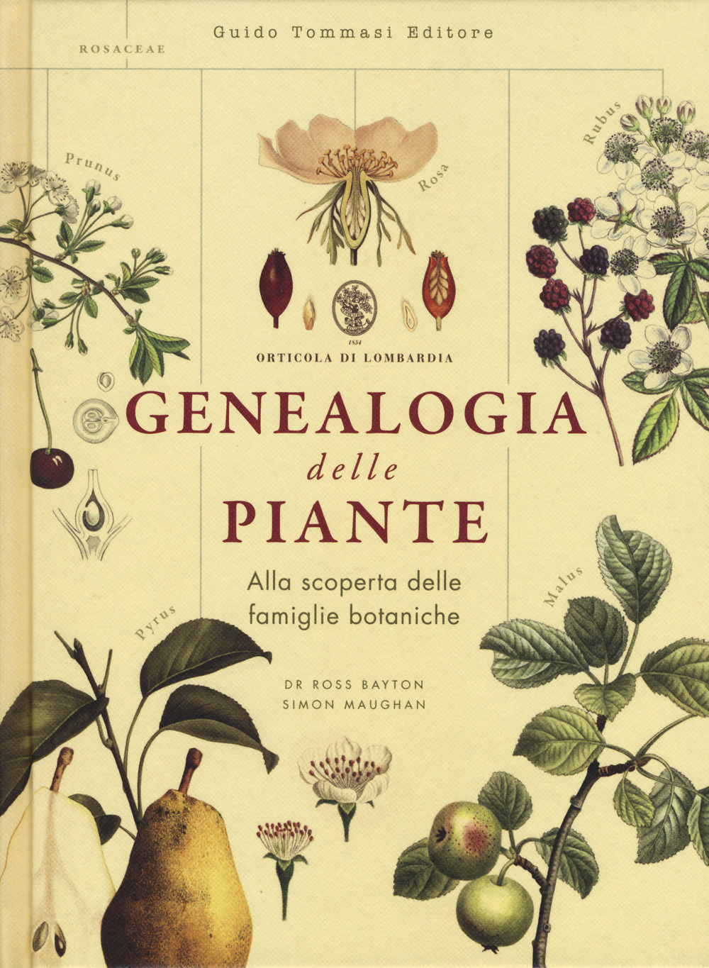 Libro Genealogia delle piante di Ross Bayton; Simon Maughan - ean 9788867532209 - Guido Tommasi Editore-Datanova