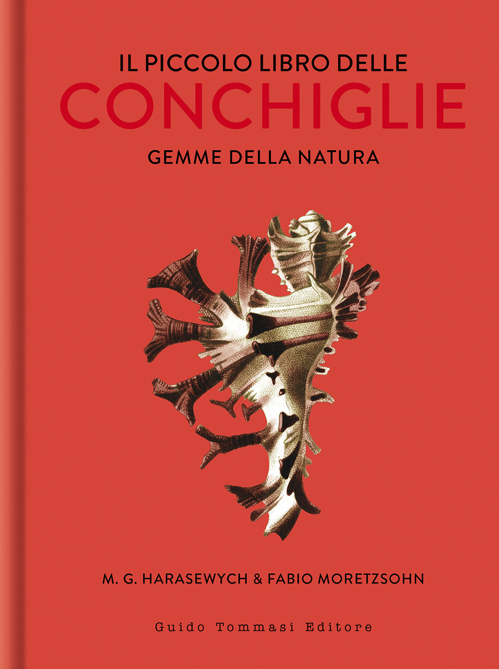 Libro piccolo libro delle conchiglie. Gemme della natura di Miroslav George Harasewych; Fabio Moretzsohn - ean 9788867533114 - Guido Tommasi Editore-Datanova