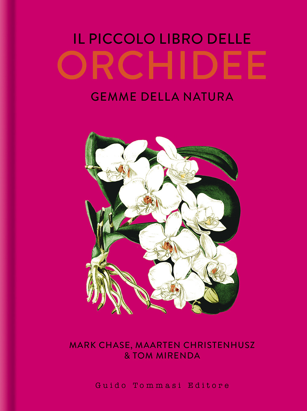 Libro piccolo libro delle orchidee. Gemme della natura di Mark W. Chase; Maarten Christenhusz; Tom Mirenda - ean 9788867533121 - Guido Tommasi Editore-Datanova