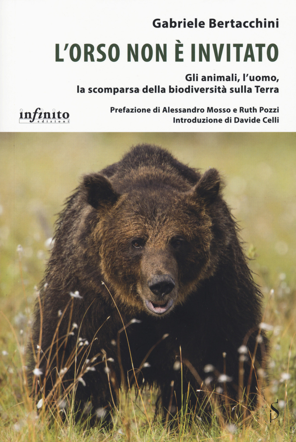 Libro orso non è invitato. Gli animali