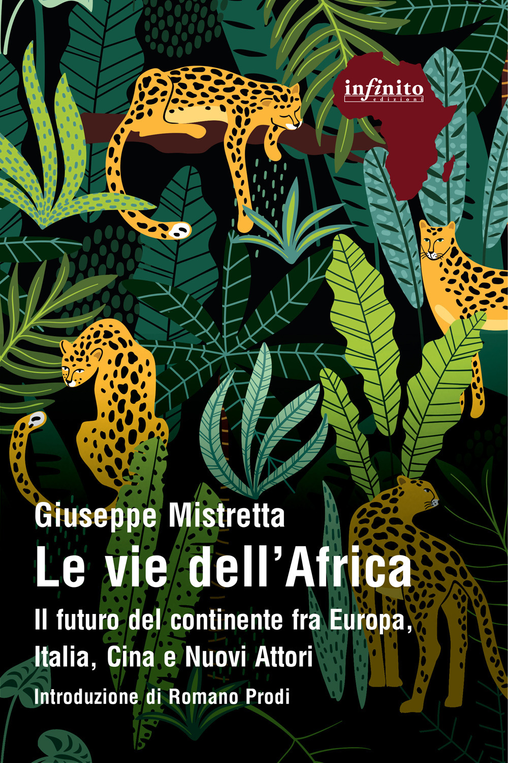 Libro vie dell'Africa. Il futuro del continente fra Europa