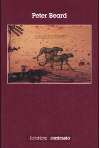 Libro Peter Beard di  - ean 9788869651472 - Contrasto