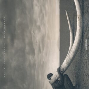 Libro Nella terra ferita di Nick Brandt - ean 9788869654817 - Contrasto