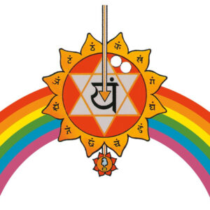 Libro messaggi dell'universo di Annie Marquier - ean 9788869962127 - Amrita