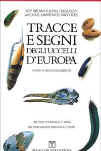 Libro Tracce e segni degli uccelli d'Europa. Guida al riconoscimento di  - ean 9788870214611 - Franco Muzzio Editore