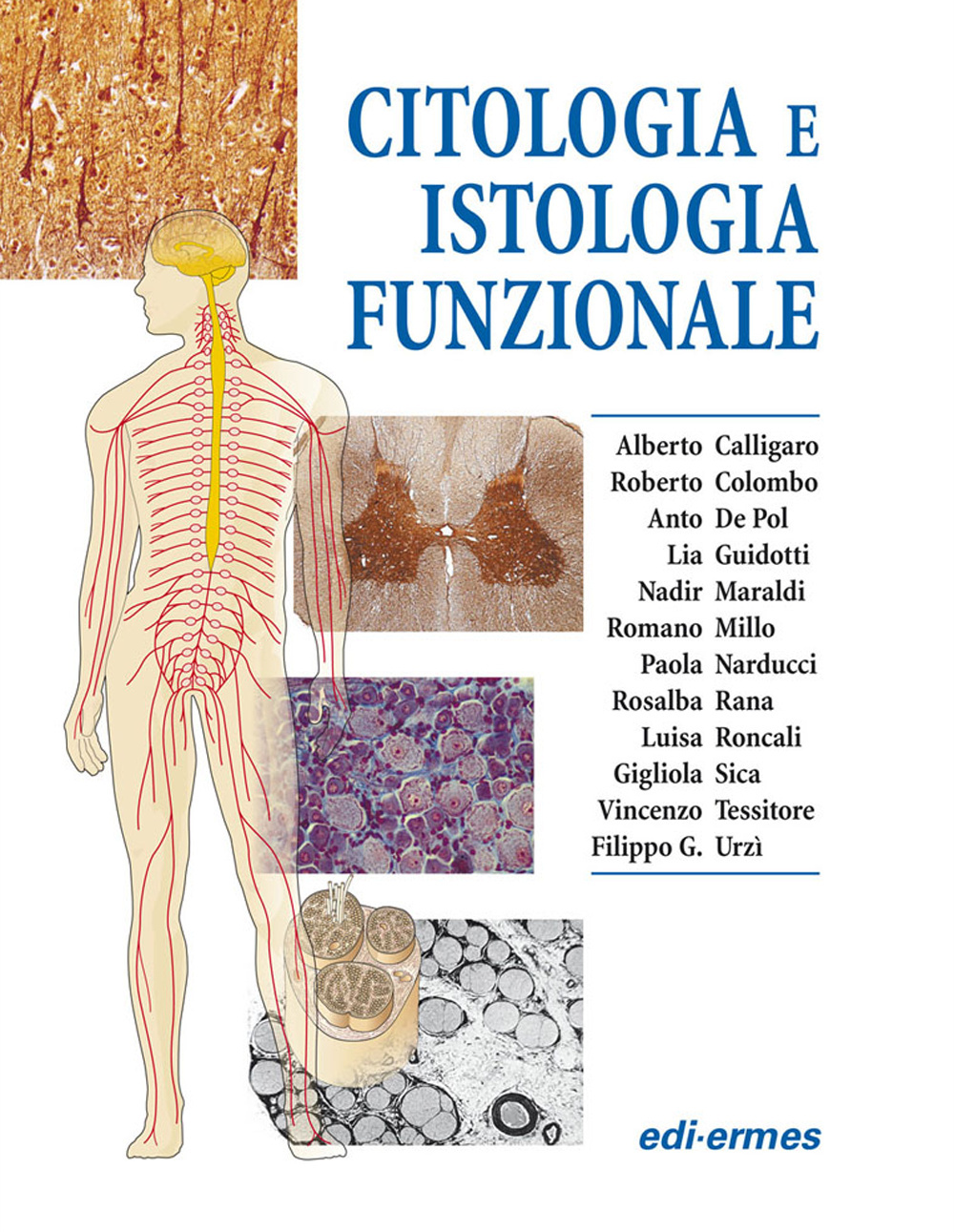 Libro Citologia e istologia funzionale di Alberto Calligaro; Roberto Colombo; Anto De Pol - ean 9788870512809 - Edi. Ermes