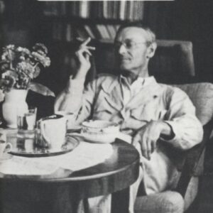 Libro bel posticino. Lo Spoon River di Hermann Hesse di Carlo Zanda - ean 9788871686271 - Marcos y Marcos