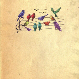 Libro miei piccoli dispiaceri di Miriam Toews - ean 9788871687131 - Marcos y Marcos