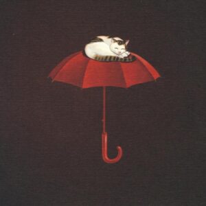 Libro ombrello di Nietzsche di Thomas Hürlimann - ean 9788871687759 - Marcos y Marcos