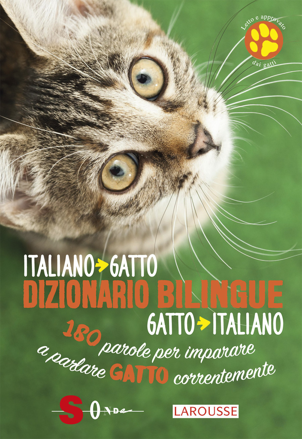 Libro Dizionario bilingue italiano-gatto