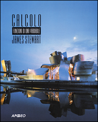 Libro Calcolo. Funzioni di una variabile di James Stewart - ean 9788873037477 - Apogeo