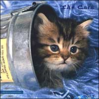 Libro Cats. Calendario 2003 di  - ean 9788873620754 - Impronteedizioni