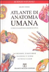 Libro Atlante di anatomia umana. Corsi di anatomia macroscopica di Milan Klima - ean 9788874130269 - Franco Muzzio Editore
