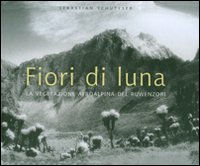 Libro Fiori di luna. La vegetazione afroalpina del Ruwenzori di Sebastian Schütyser - ean 9788874394210 - 5 Continents Editions