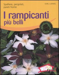 Libro rampicanti più belli. Spalliere