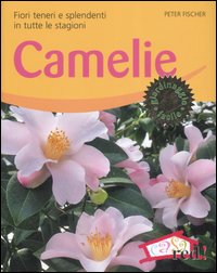 Libro Camelie. Fiori teneri e splendenti in tutte le stagioni di Peter Fisher - ean 9788874475162 - Red Edizioni