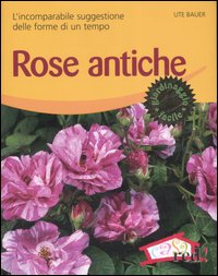Libro Rose antiche. L'incomparabile suggestione delle forme di un tempo di Ute Bauer - ean 9788874475186 - Red Edizioni