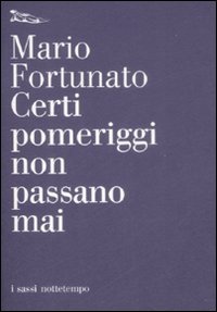 Libro Certi pomeriggi non passano mai di Mario Fortunato - ean 9788874522026 - Nottetempo
