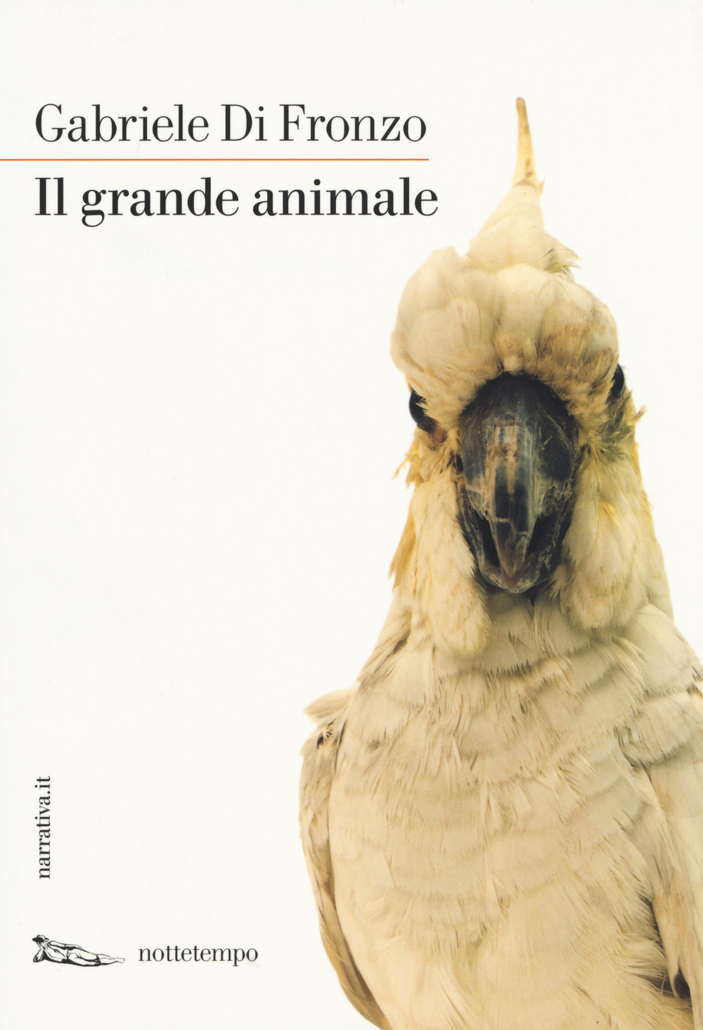 Libro grande animale di Gabriele Di Fronzo - ean 9788874525782 - Nottetempo