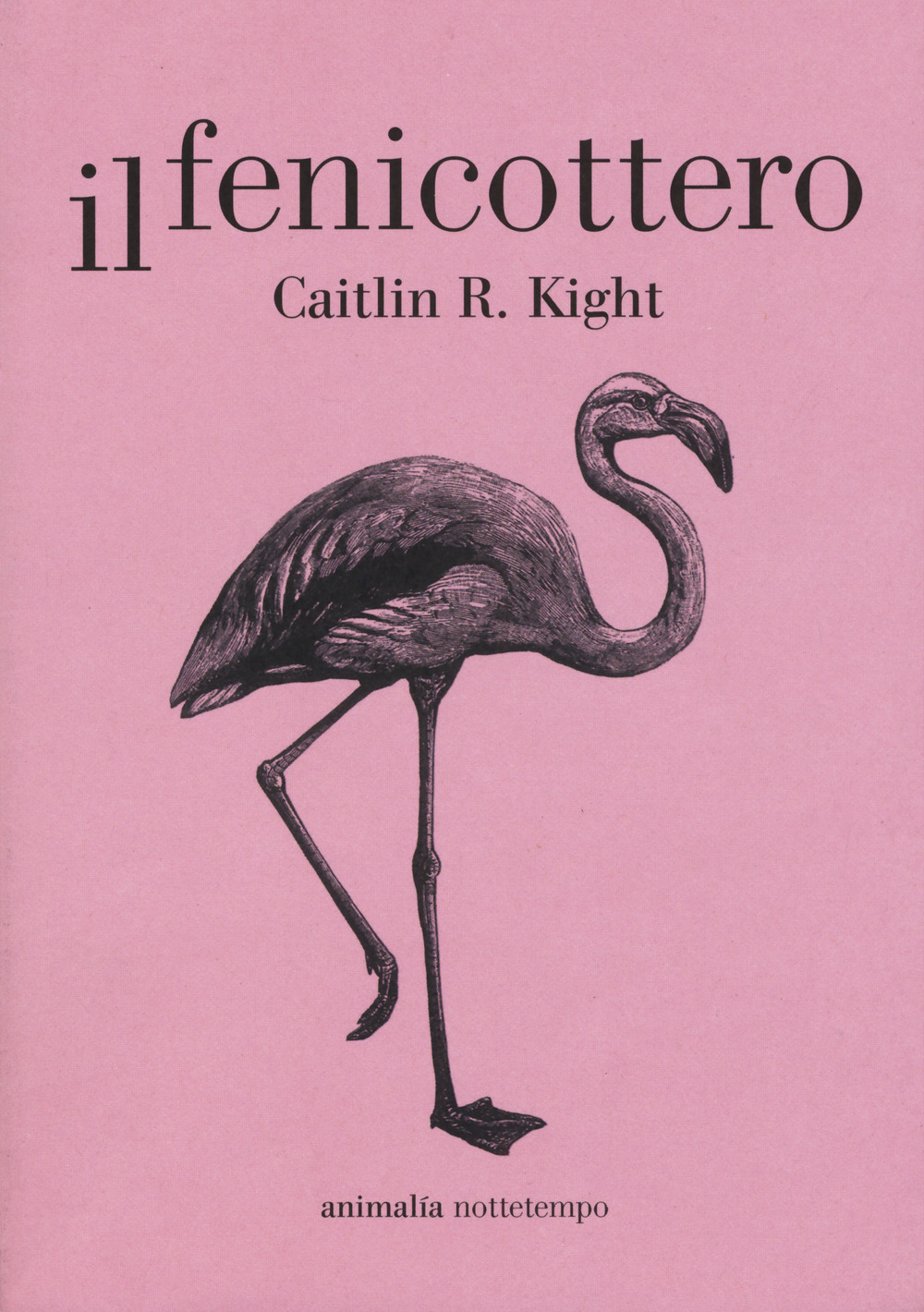 Libro fenicottero di Caitlin R. Kight - ean 9788874526949 - Nottetempo