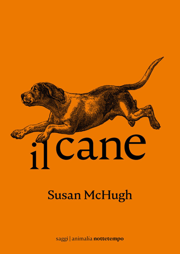 Libro cane di Susan M. McHugh - ean 9788874528233 - Nottetempo