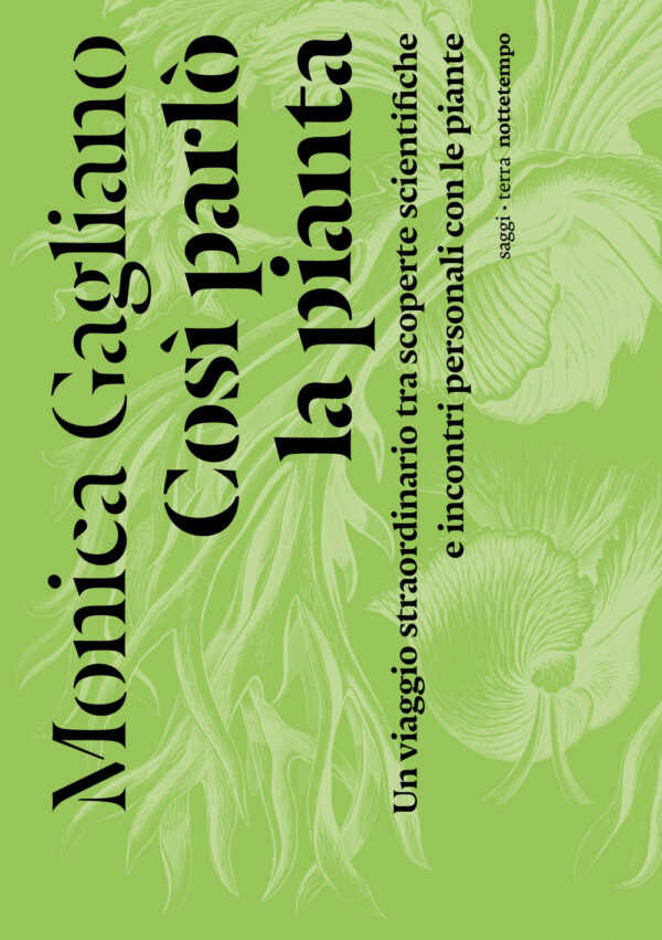 Libro Così parlò la pianta. Un viaggio straordinario tra scoperte scientifiche e incontri personali con le piante di Monica Gagliano - ean 9788874529773 - Nottetempo