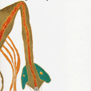 Libro galline pensierose di Luigi Malerba - ean 9788874626205 - Quodlibet