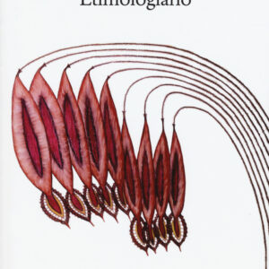 Libro Etimologiario di Maria Sebregondi - ean 9788874627073 - Quodlibet