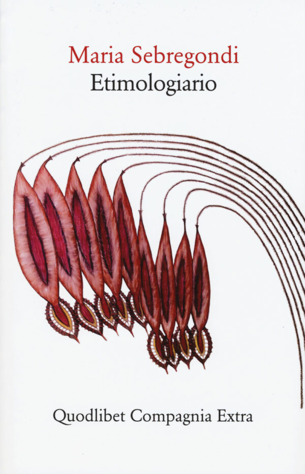 Libro Etimologiario di Maria Sebregondi - ean 9788874627073 - Quodlibet