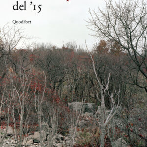 Libro Guerra del '15 di Giani Stuparich - ean 9788874628339 - Quodlibet